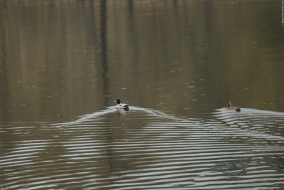 День Победы в парке - 19.jpg
